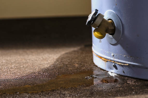Best Flooded house restoration  in Ball Ground, GA