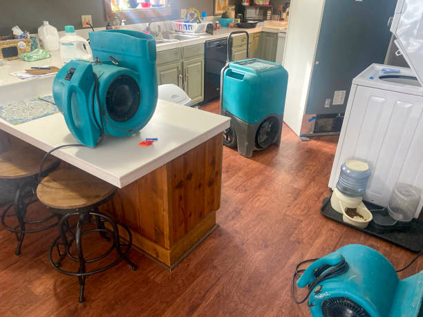 Best Residential water damage restoration  in Ball Ground, GA