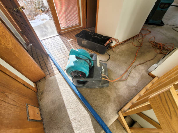 Best Residential water damage restoration  in Ball Ground, GA