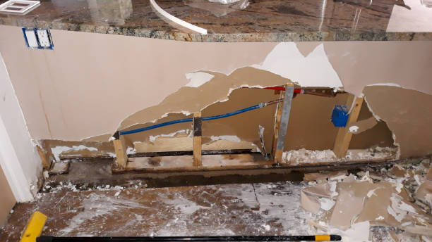 Best Carpet water damage restoration  in Ball Ground, GA