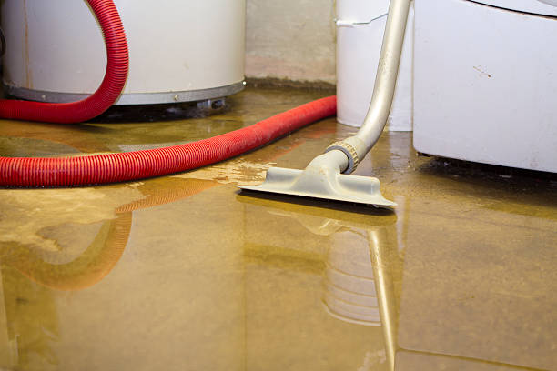 Best 24/7 water damage repair  in Ball Ground, GA