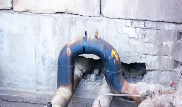 Best Basement water damage restoration  in Ball Ground, GA