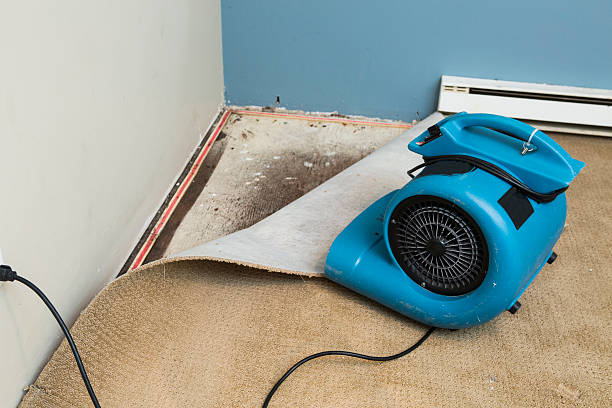 Water damage restoration mold remediation in Ball Ground, GA